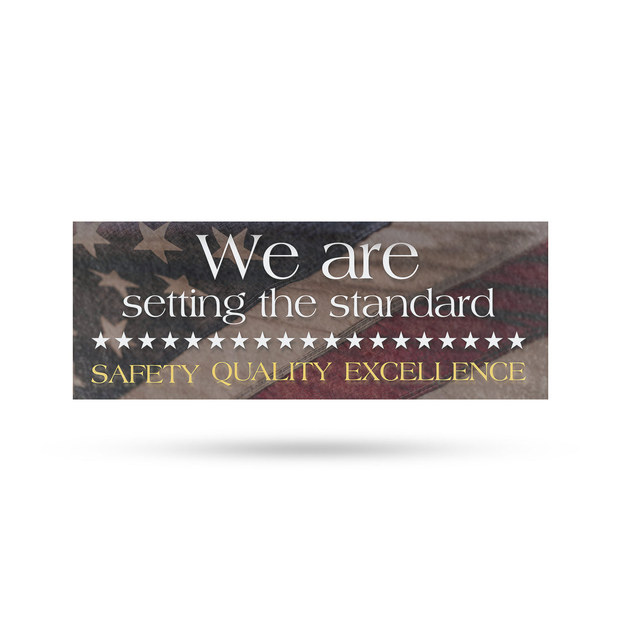 Setting the Standard Safety