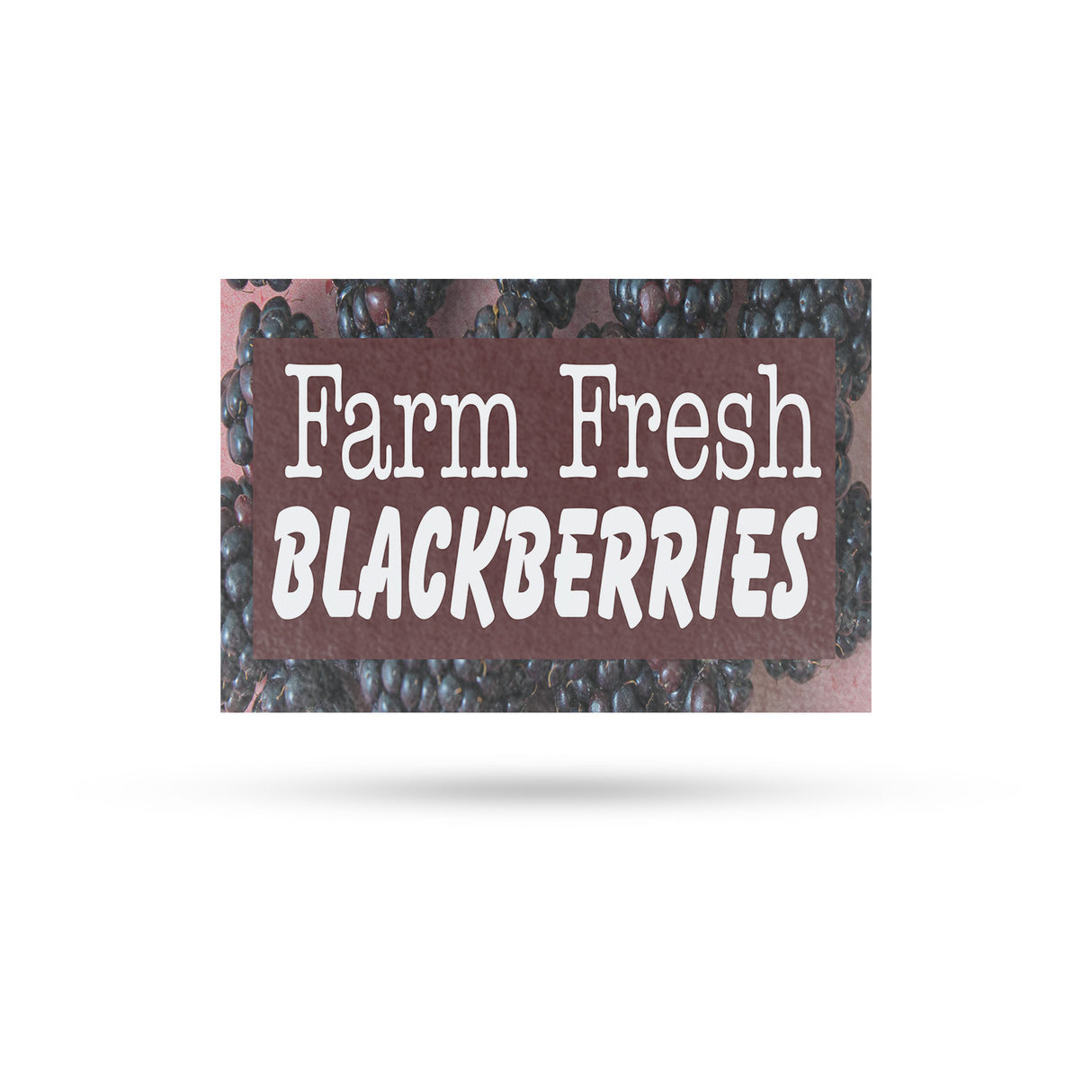Farm Fresh Blackberries