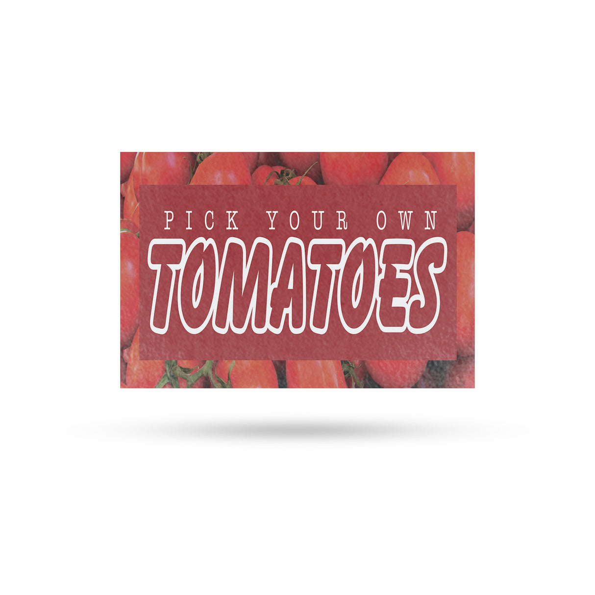 Pick Your Own Tomatoes