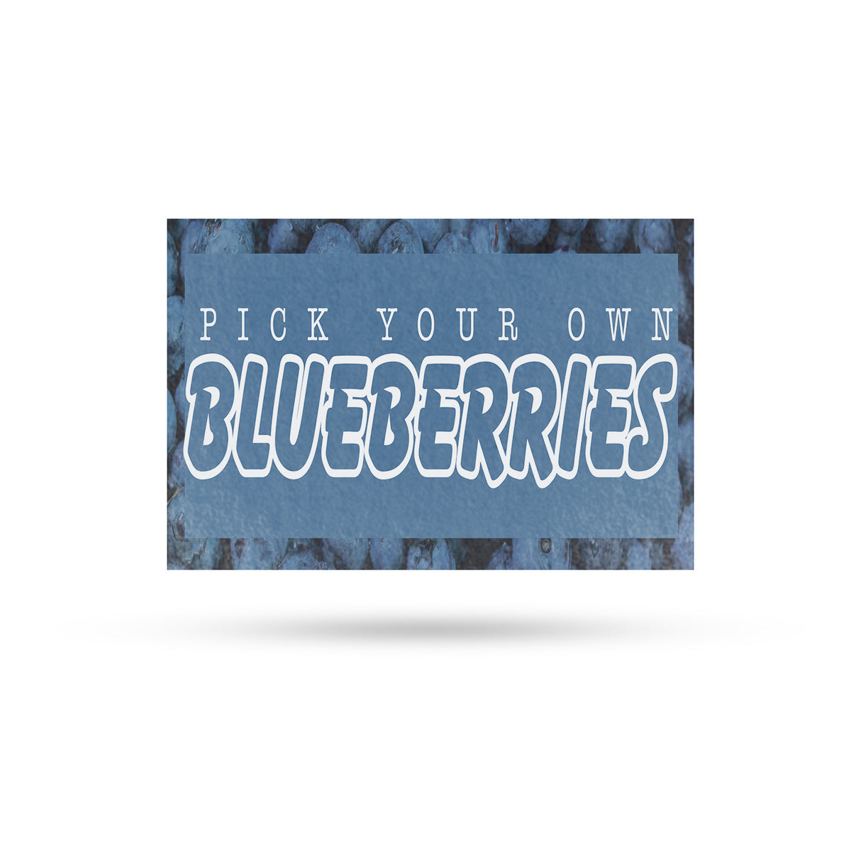 Pick Your Own Blueberries