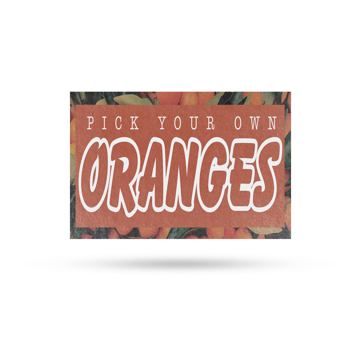 Pick Your Own Oranges