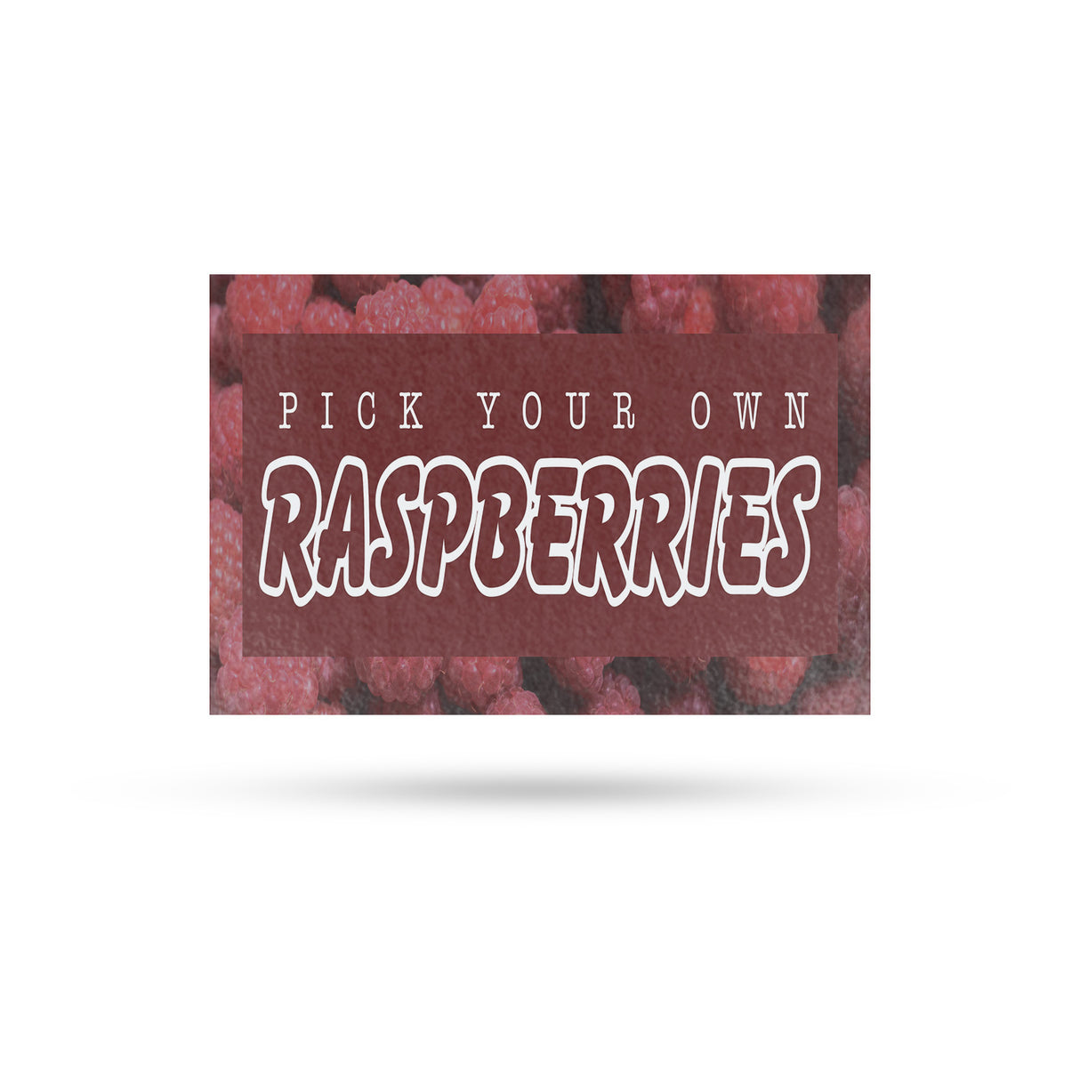 Pick Your Own Raspberries