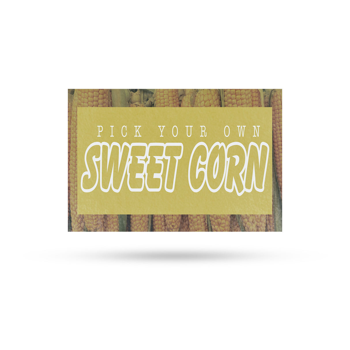 Pick Your Own Sweet Corn