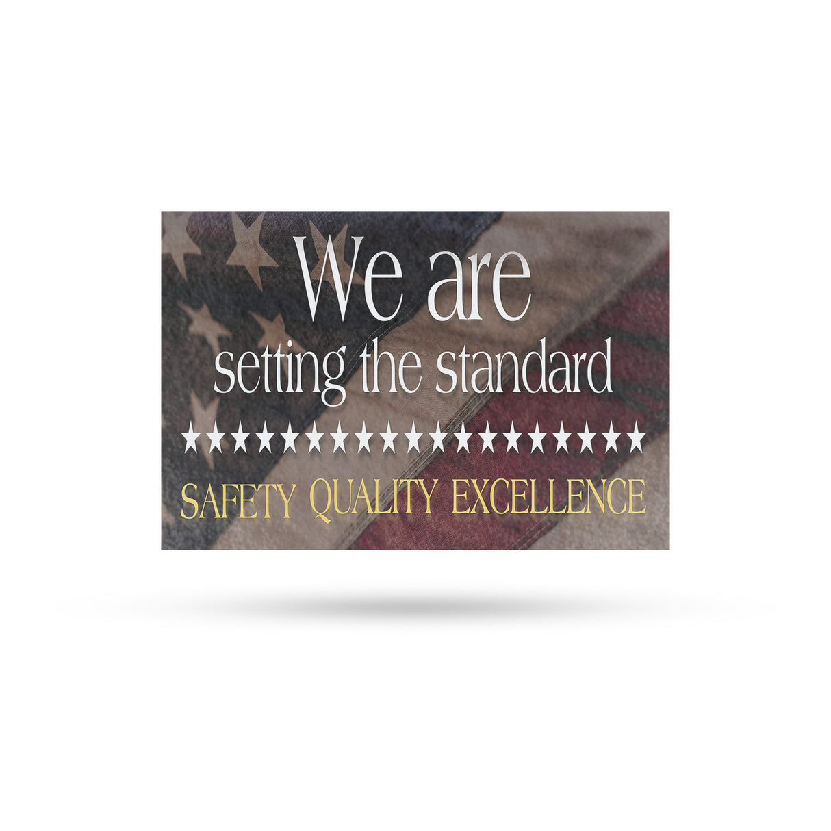 Setting the Standard Safety