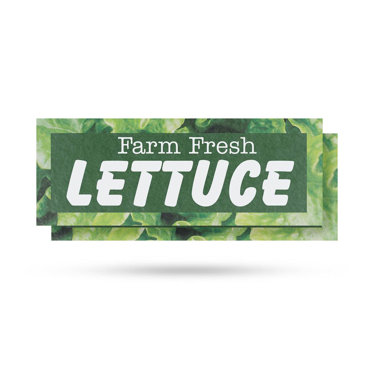 Farm Fresh Lettuce
