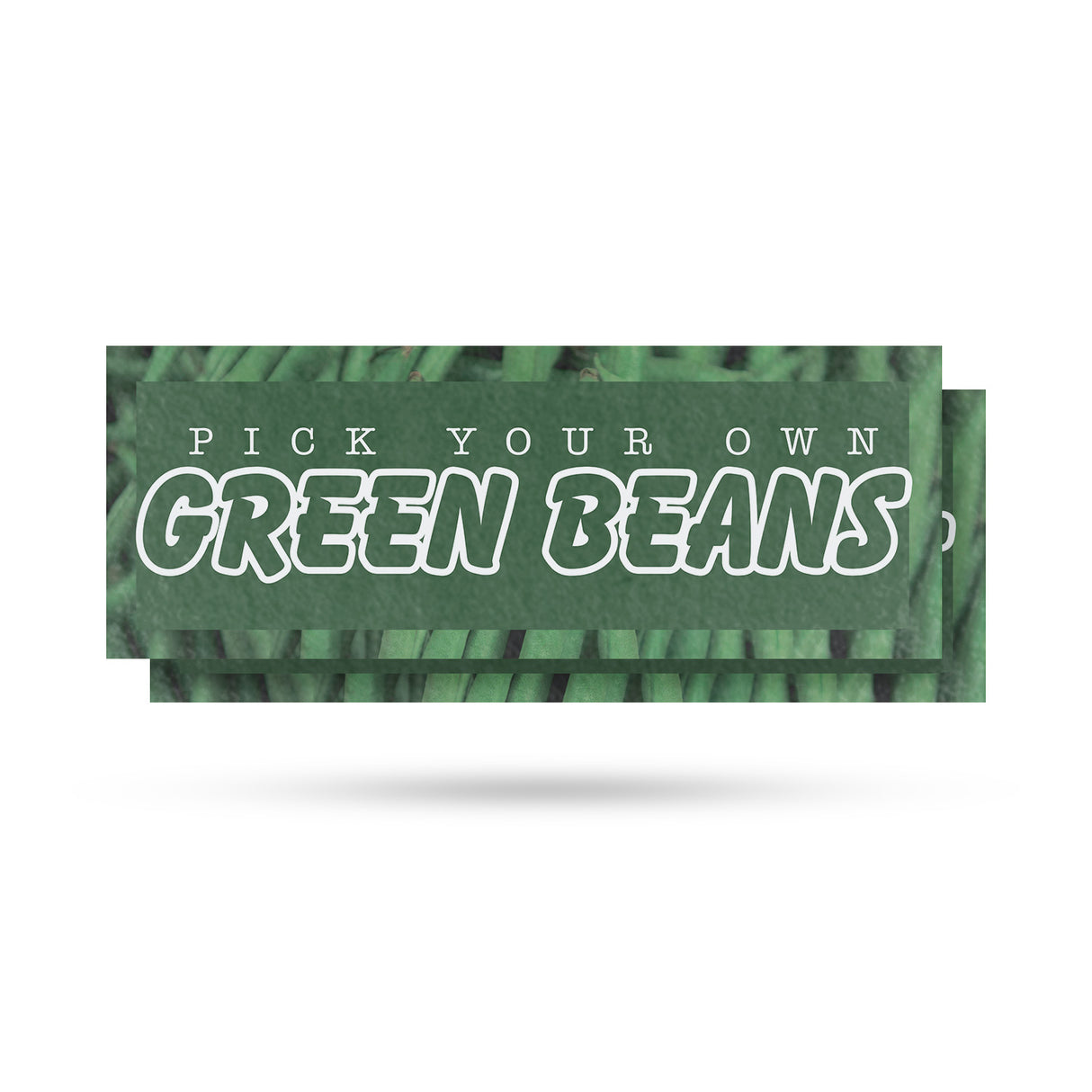 Pick Your Own Green Beans