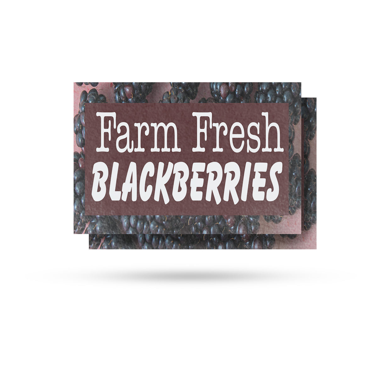 Farm Fresh Blackberries