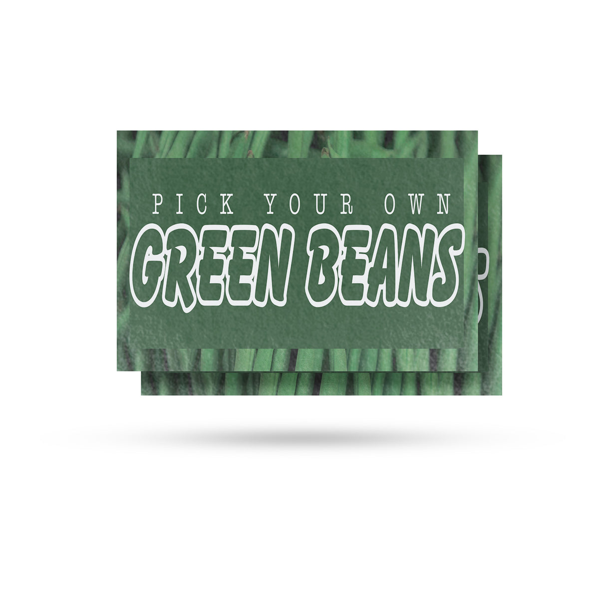 Pick Your Own Green Beans