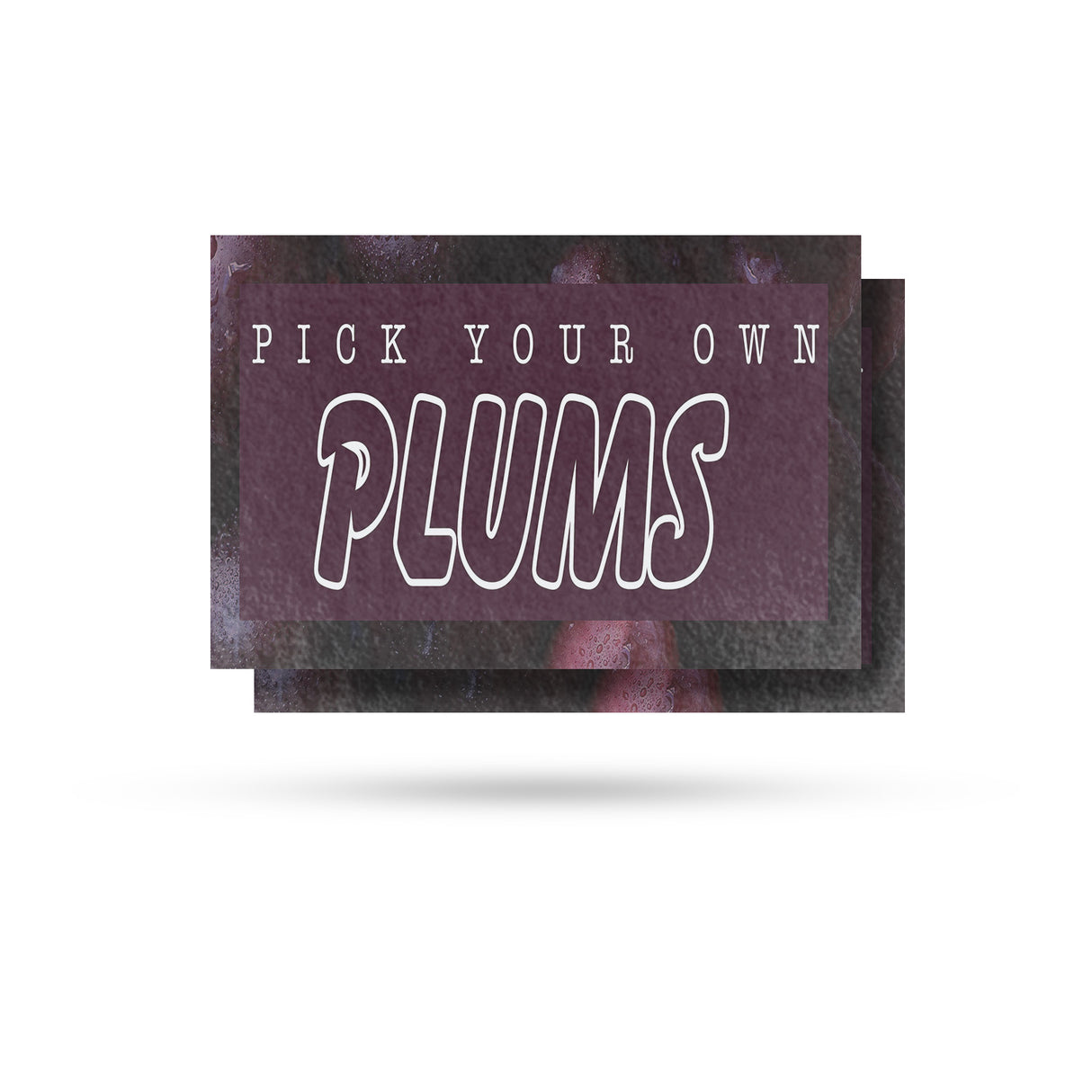 Pick Your Own Plums