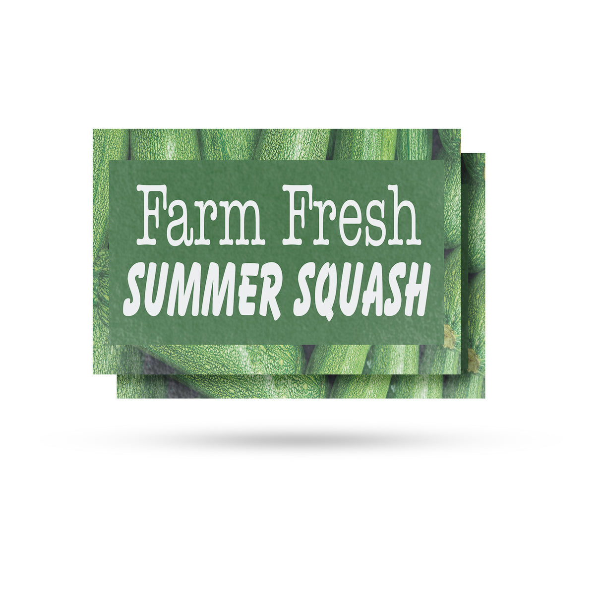 Farm Fresh Summer Squash