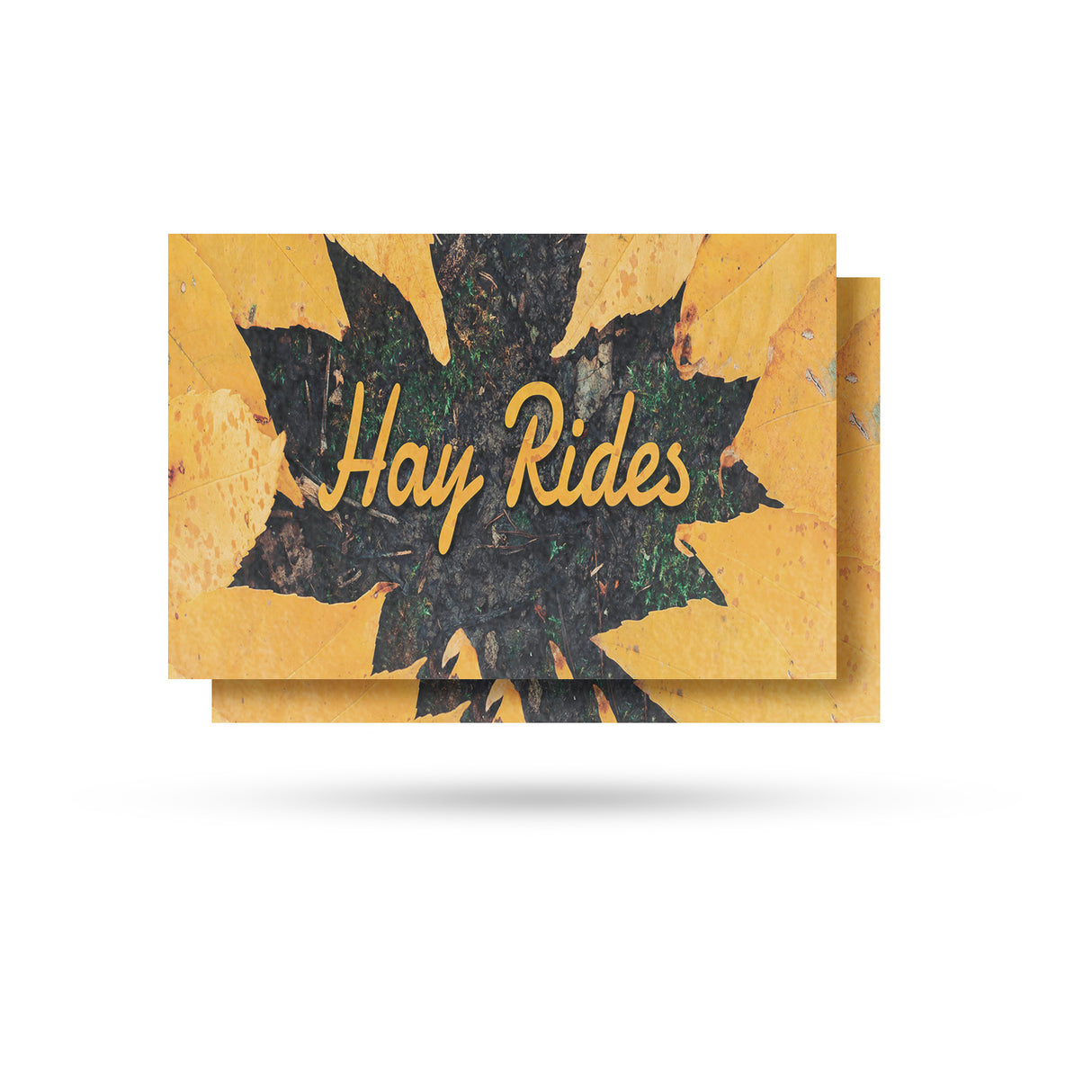 Hay Rides