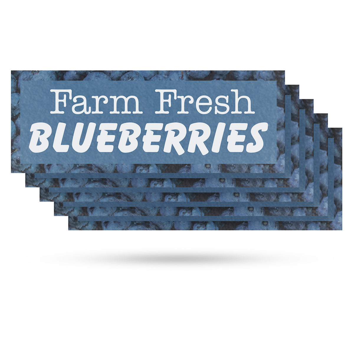 Farm Fresh Blueberries