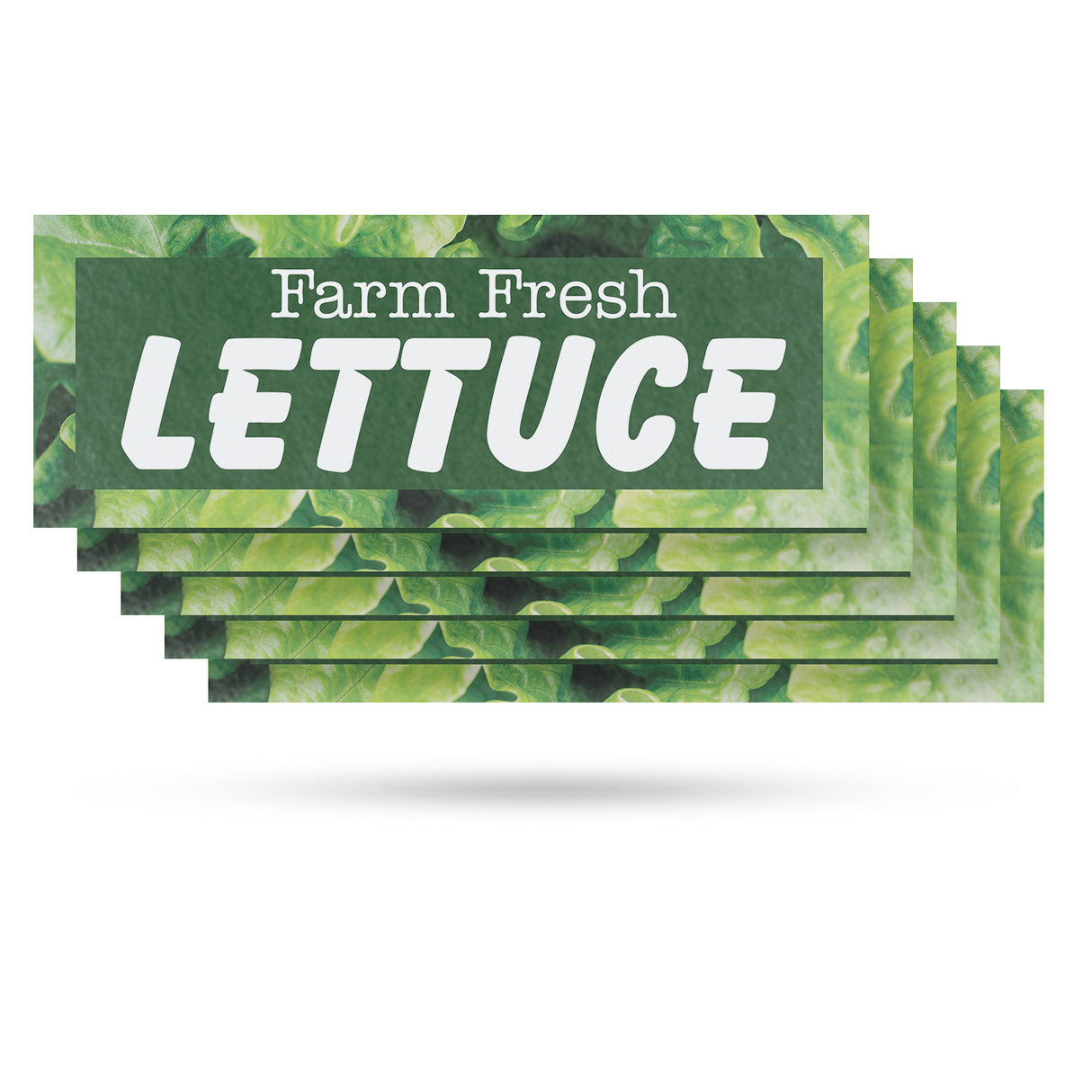 Farm Fresh Lettuce