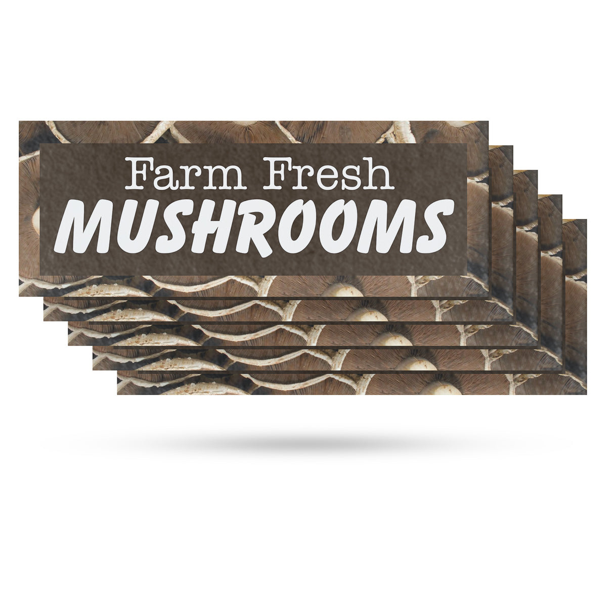 Farm Fresh Mushrooms