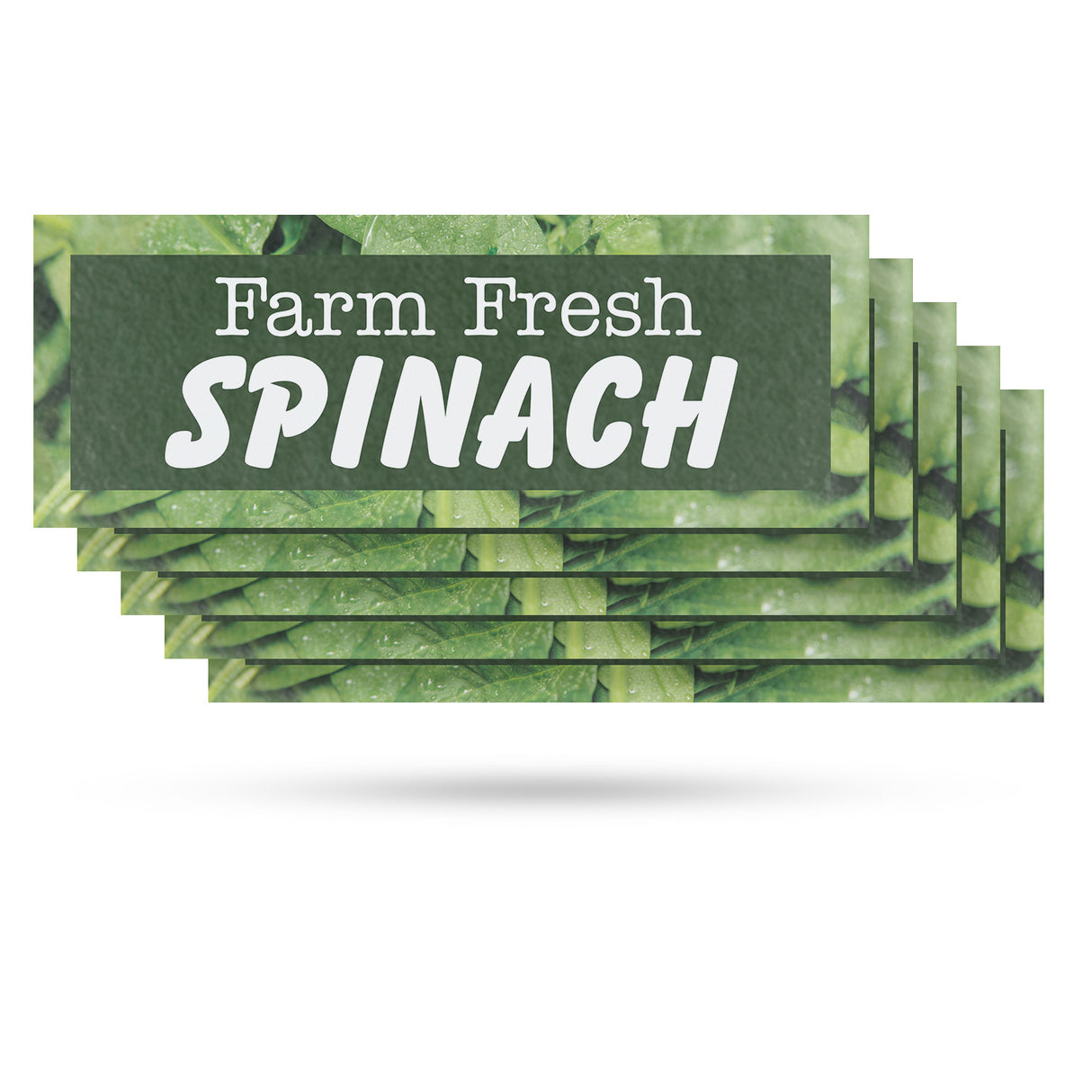 Farm Fresh Spinach