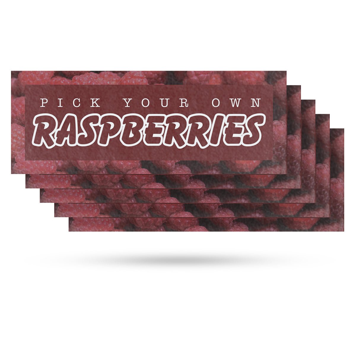 Pick Your Own Raspberries