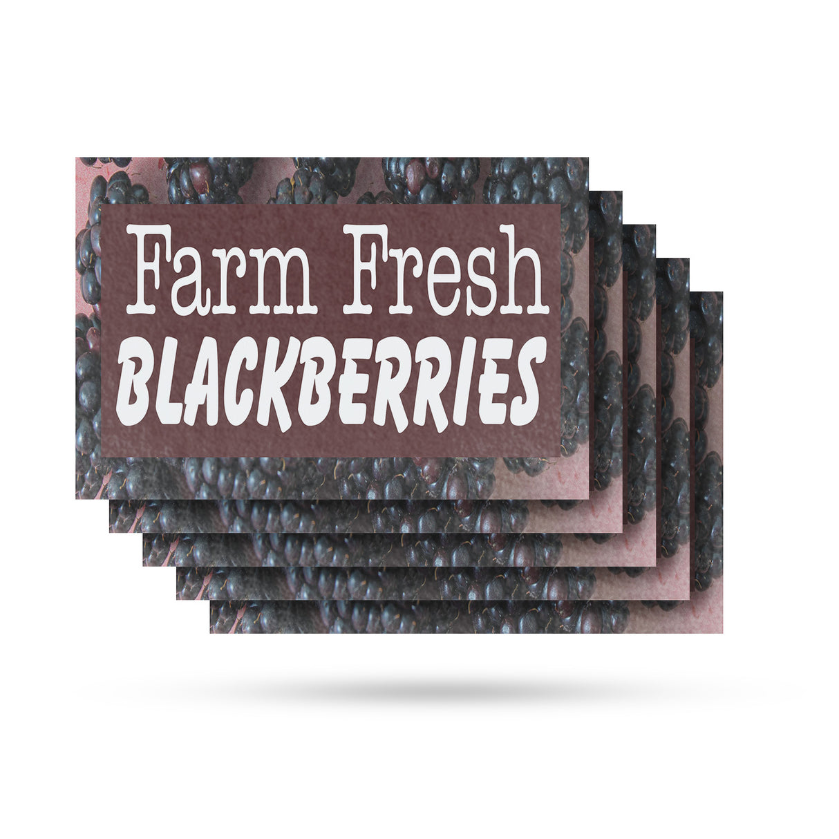 Farm Fresh Blackberries