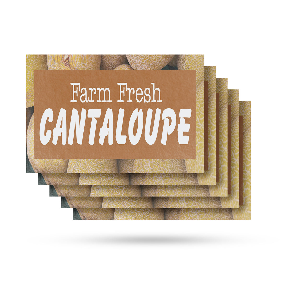 Farm Fresh Cantaloupe
