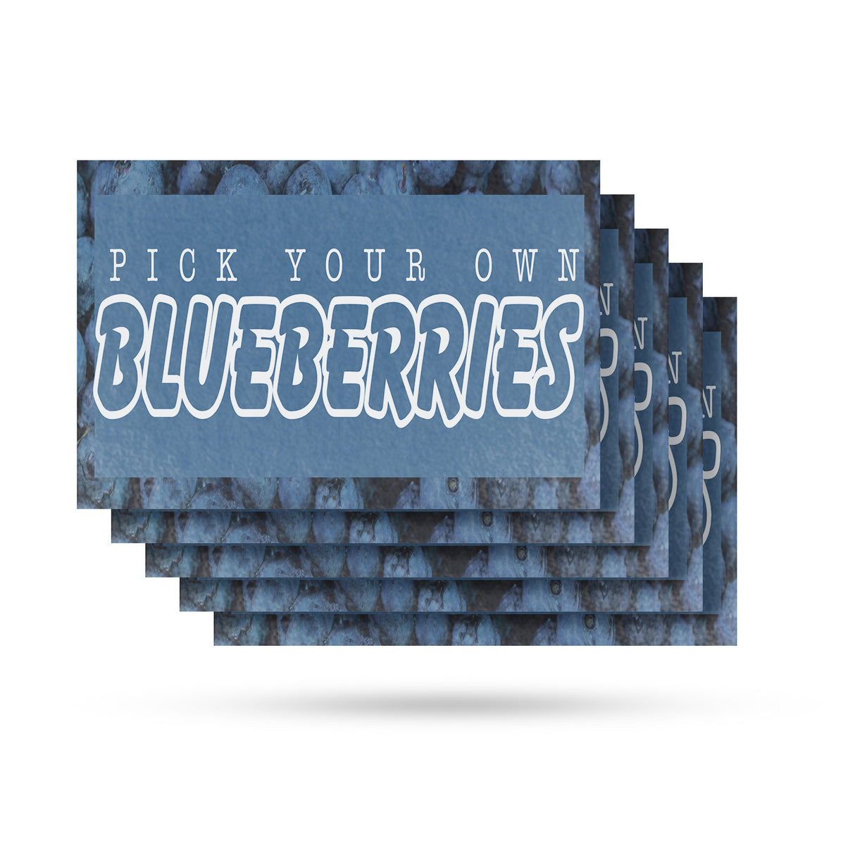 Pick Your Own Blueberries