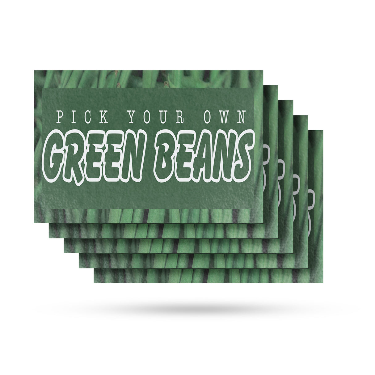 Pick Your Own Green Beans
