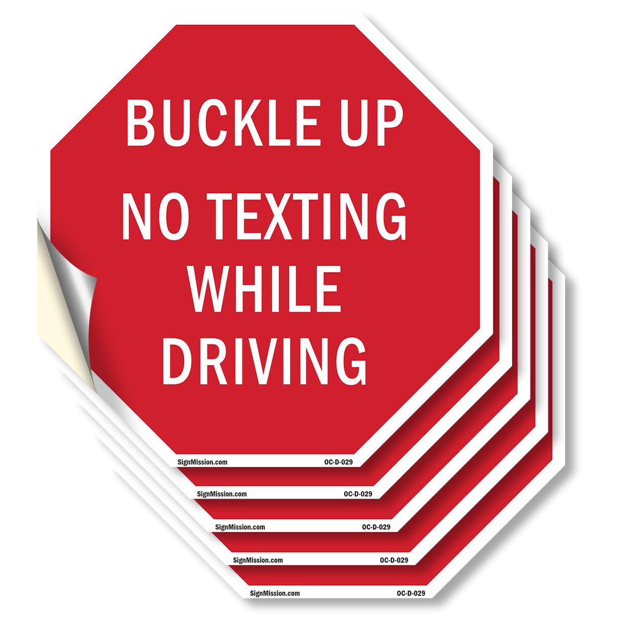 Buckle Up No Texting While Driving