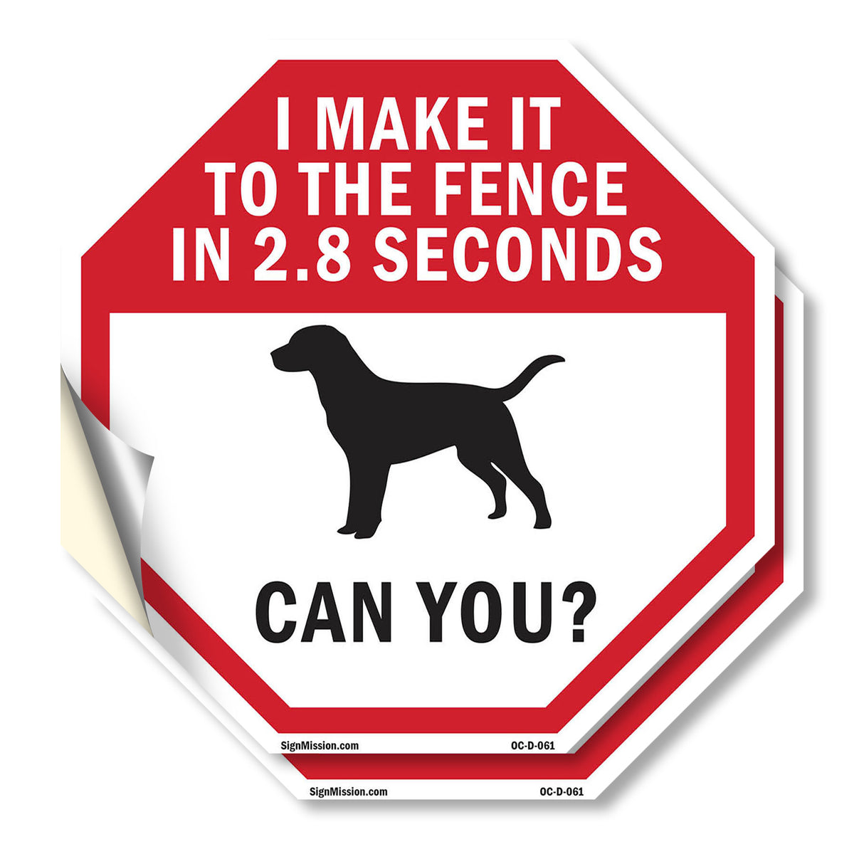 I Make It to The Fence In 2.8 Seconds Can You?