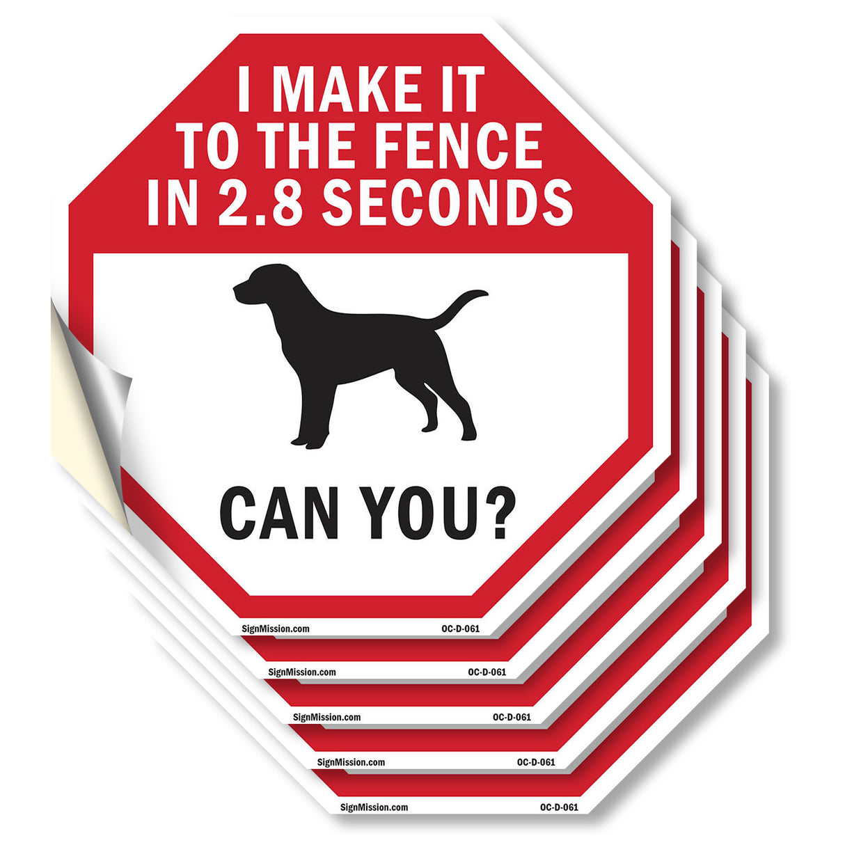 I Make It to The Fence In 2.8 Seconds Can You?