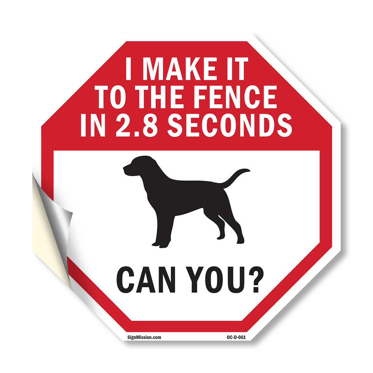 I Make It to The Fence In 2.8 Seconds Can You?