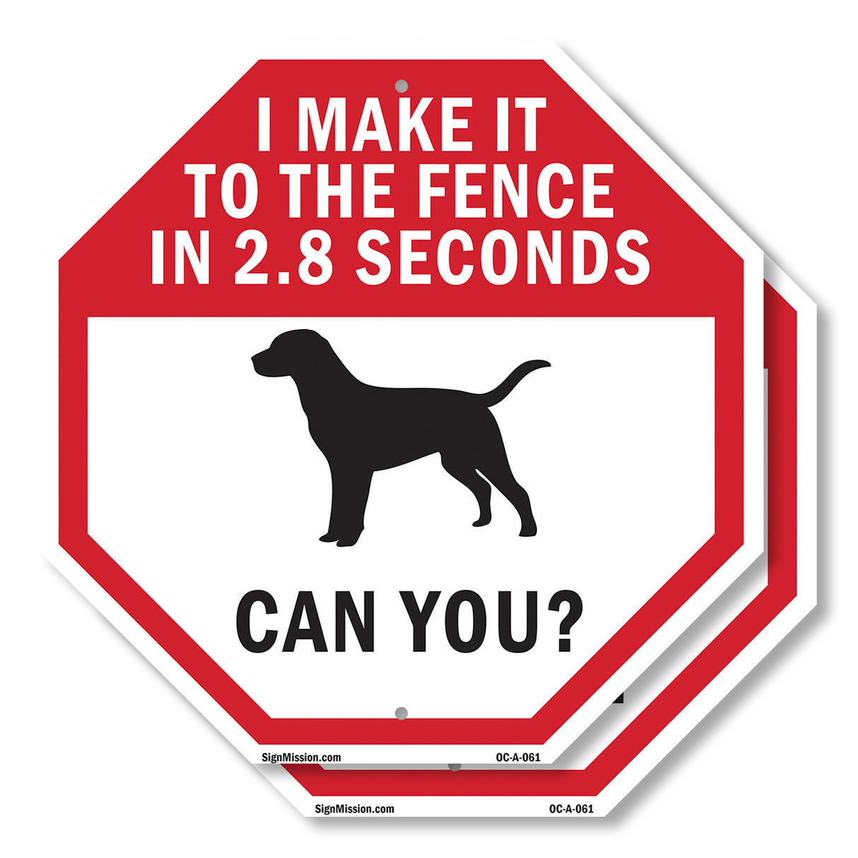 I Make It to The Fence In 2.8 Seconds Can You?