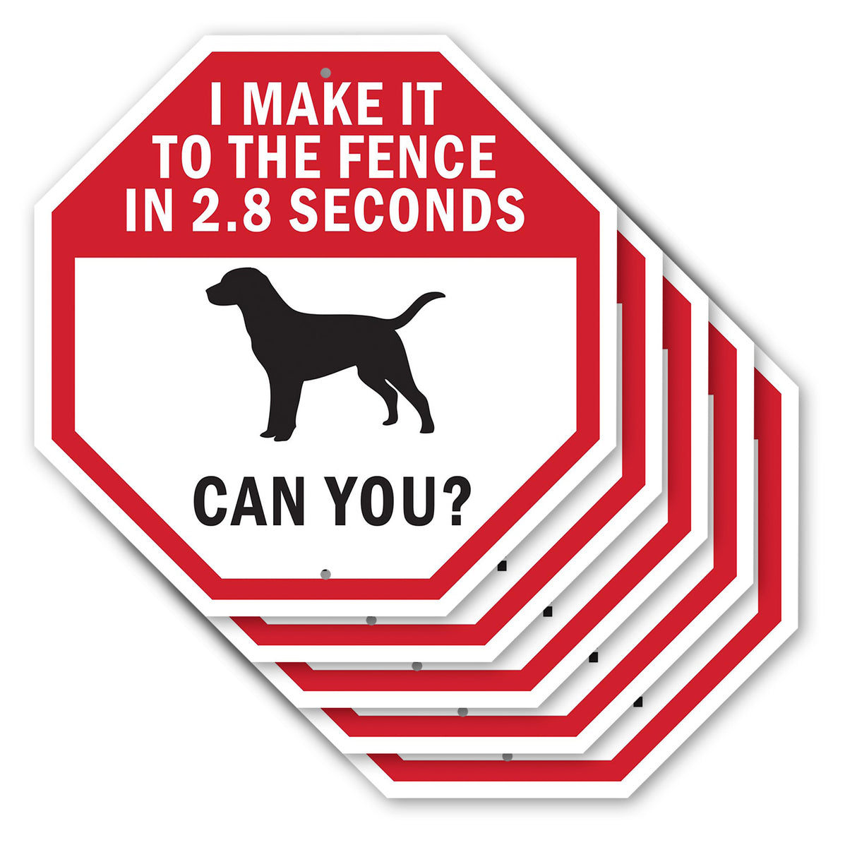 I Make It to The Fence In 2.8 Seconds Can You?