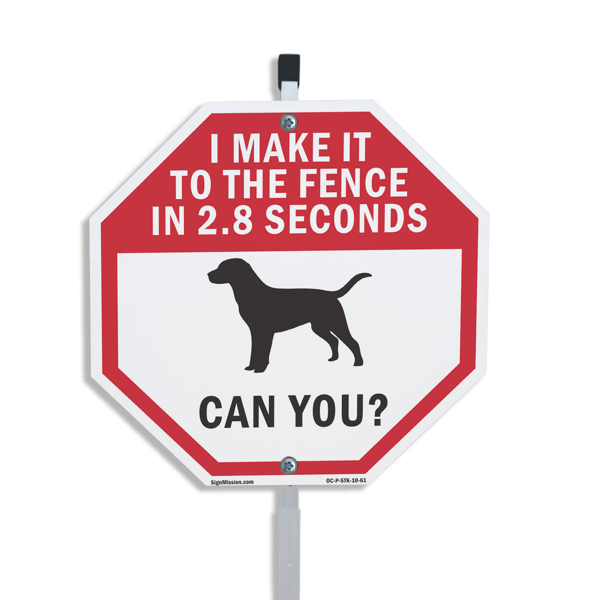 I Make It to The Fence In 2.8 Seconds Can You?