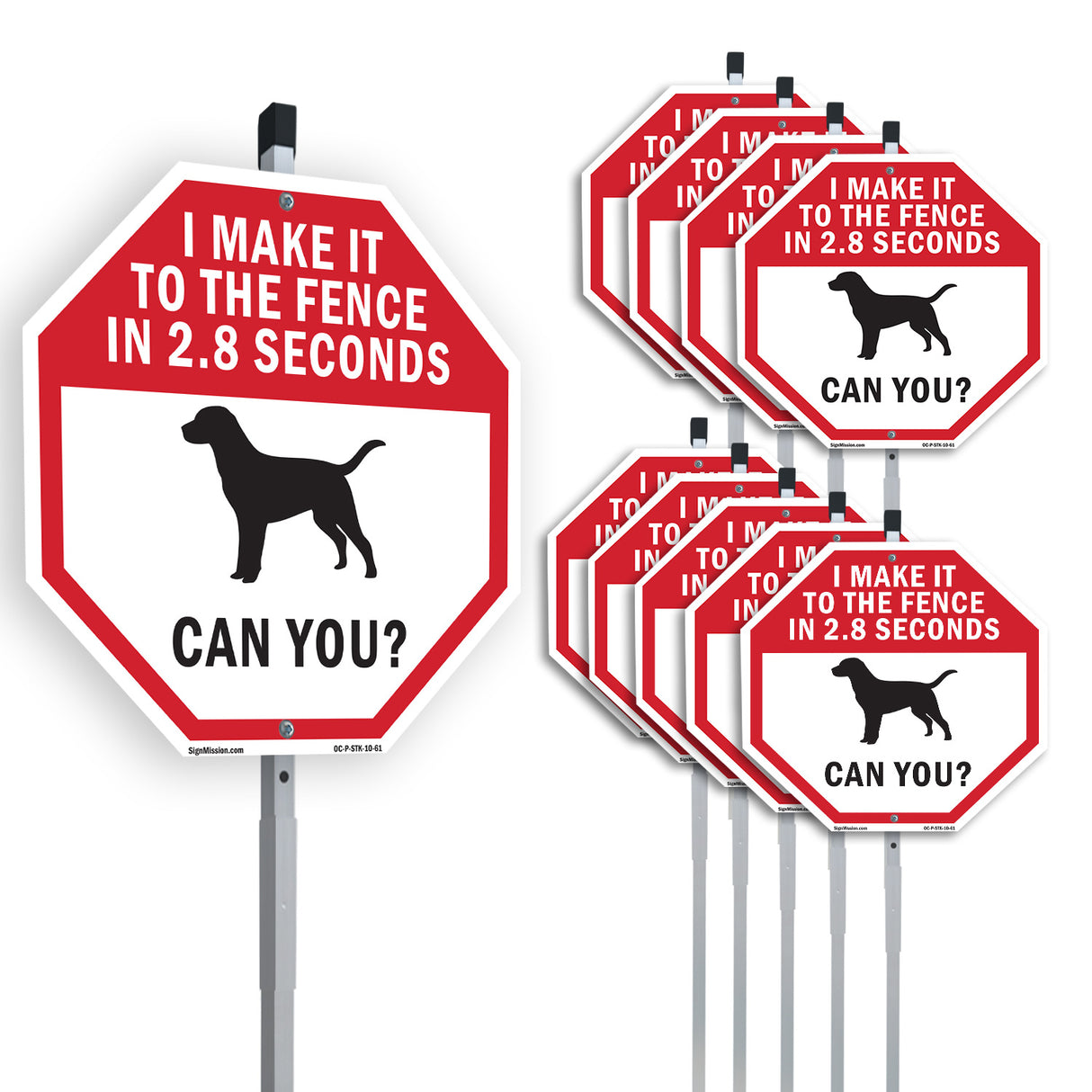 I Make It to The Fence In 2.8 Seconds Can You?