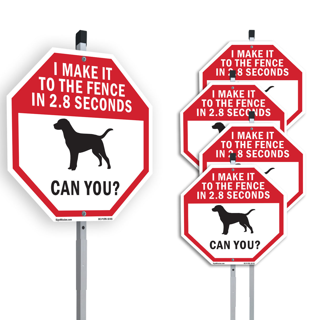 I Make It to The Fence In 2.8 Seconds Can You?
