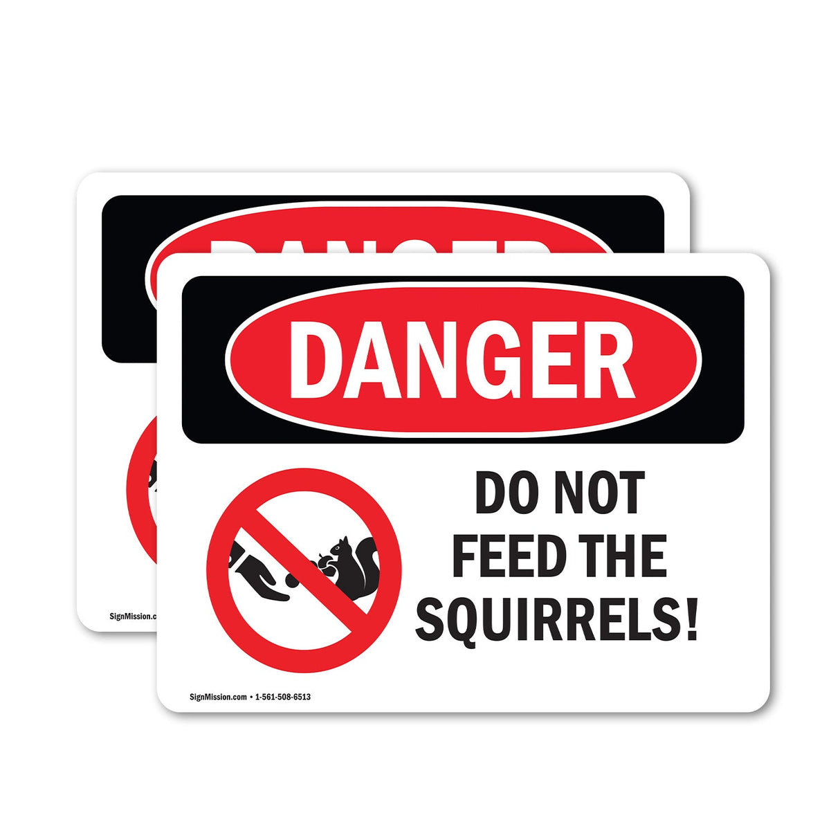 Do Not Feed The Squirrels!