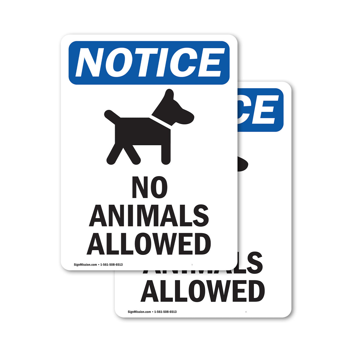 No Animals Allowed