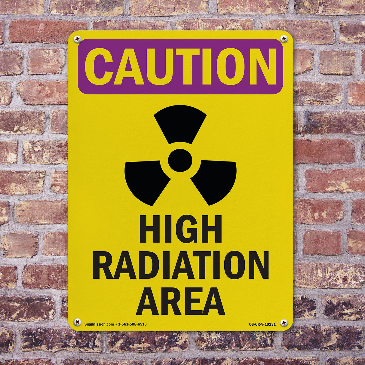 High Radiation Area