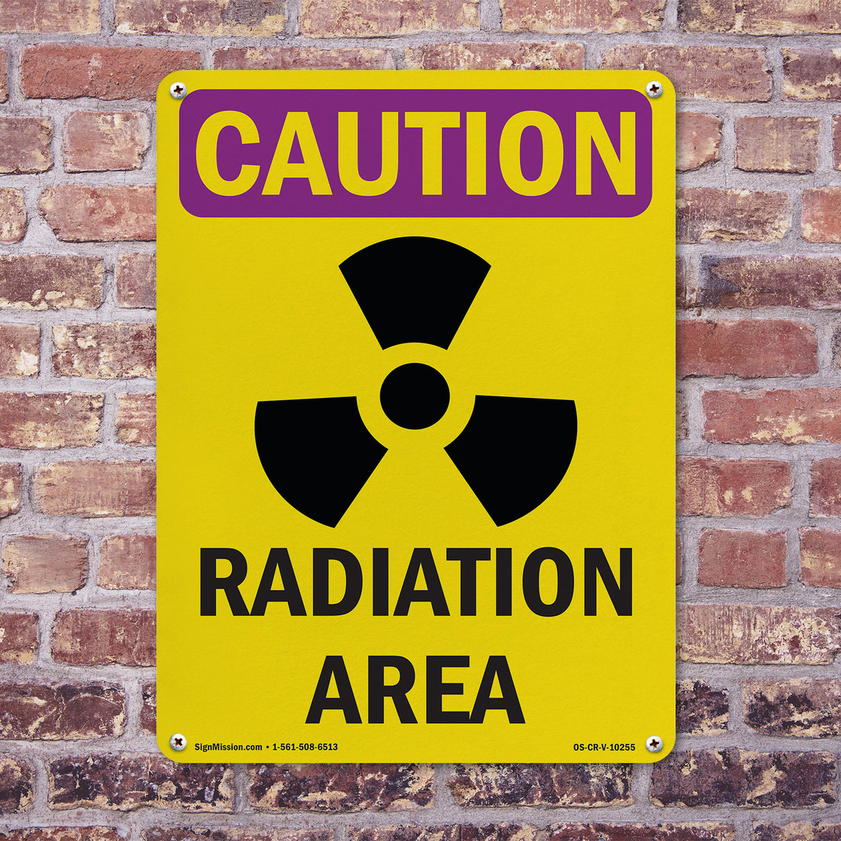 Radiation Area Spanish