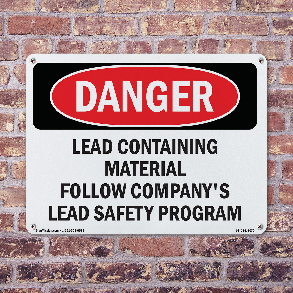 Lead Containing Material Safety Program