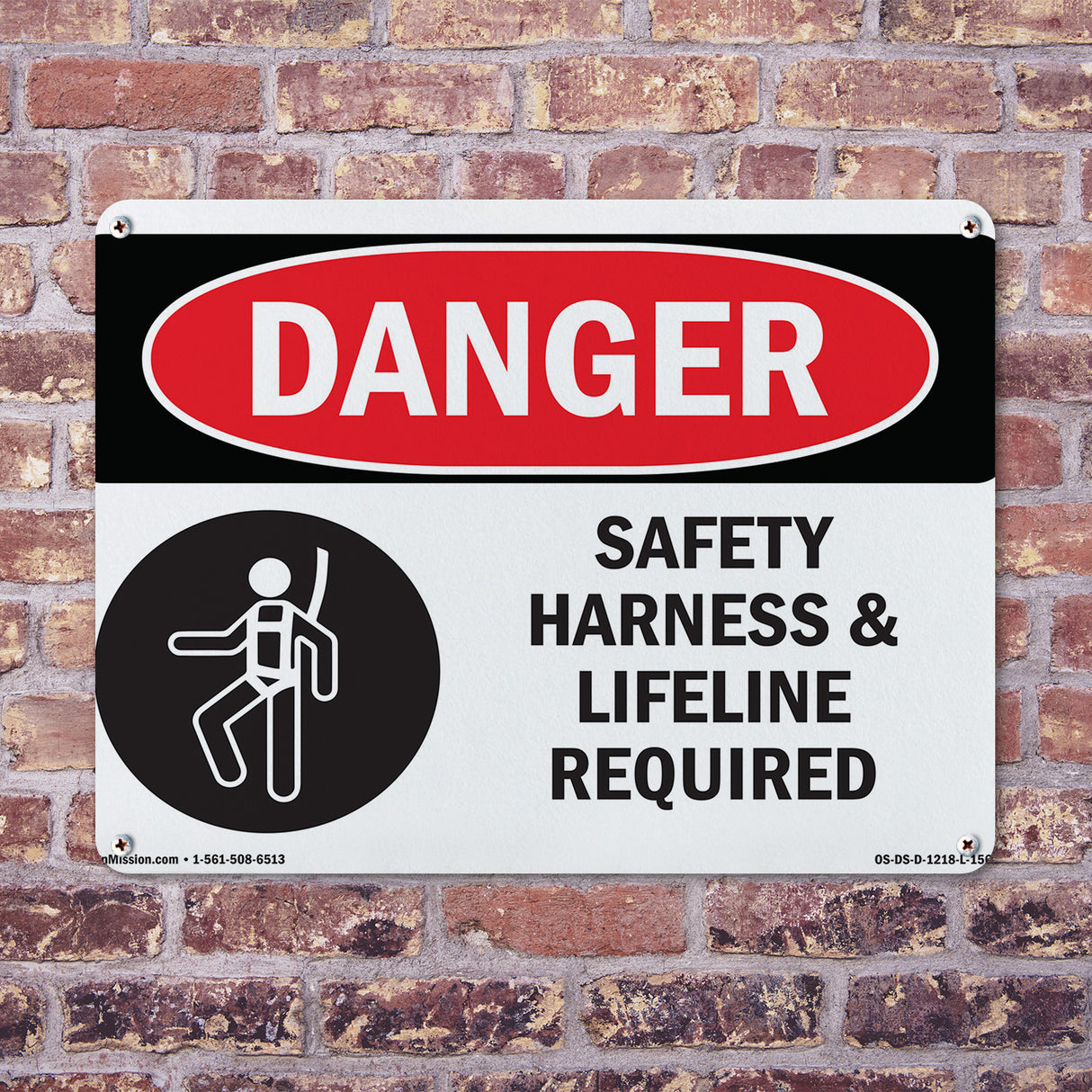 Safety Harness And Lifeline Required