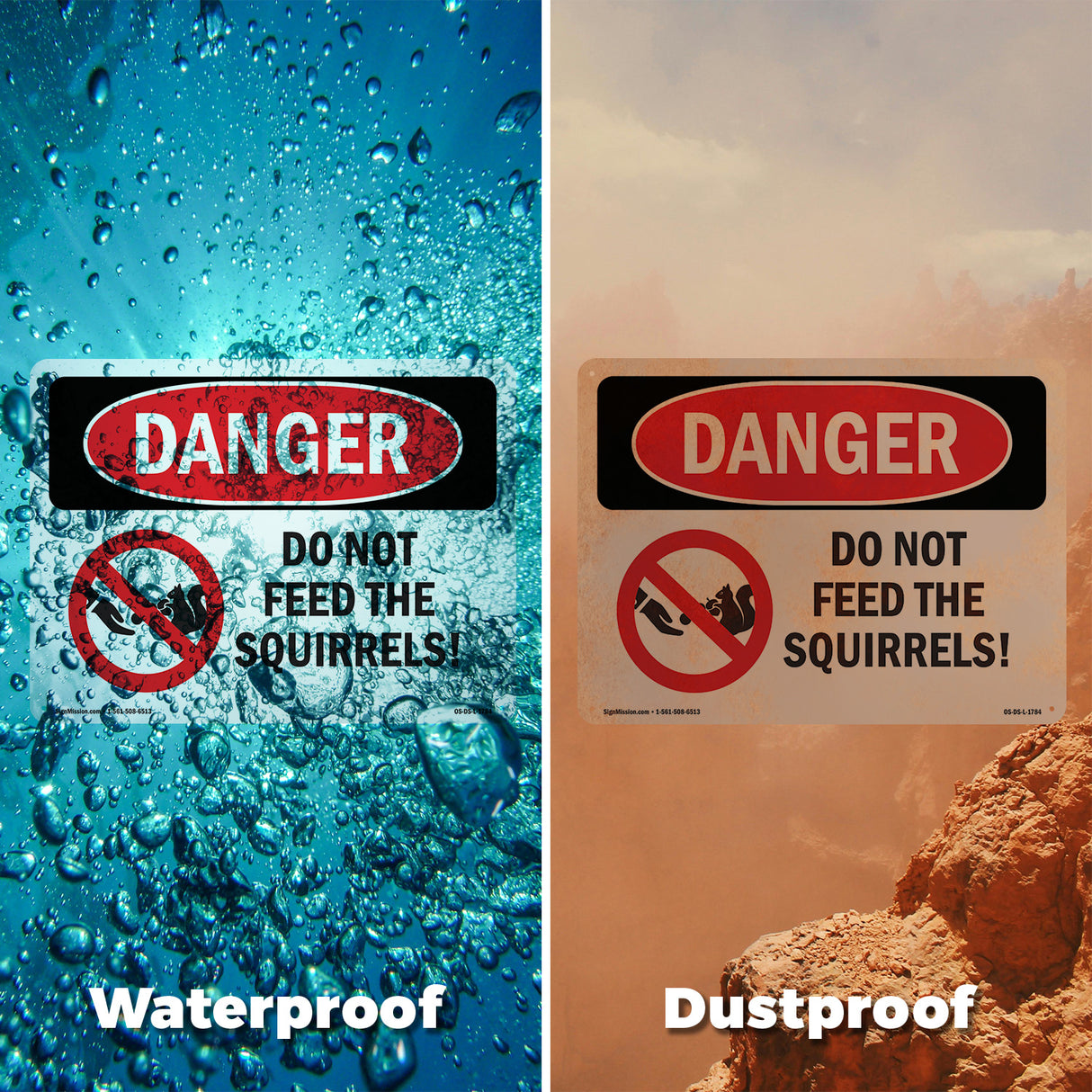 Do Not Feed The Squirrels!