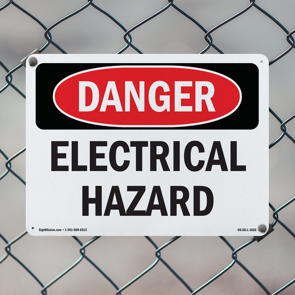 Portrait Electrical Hazard