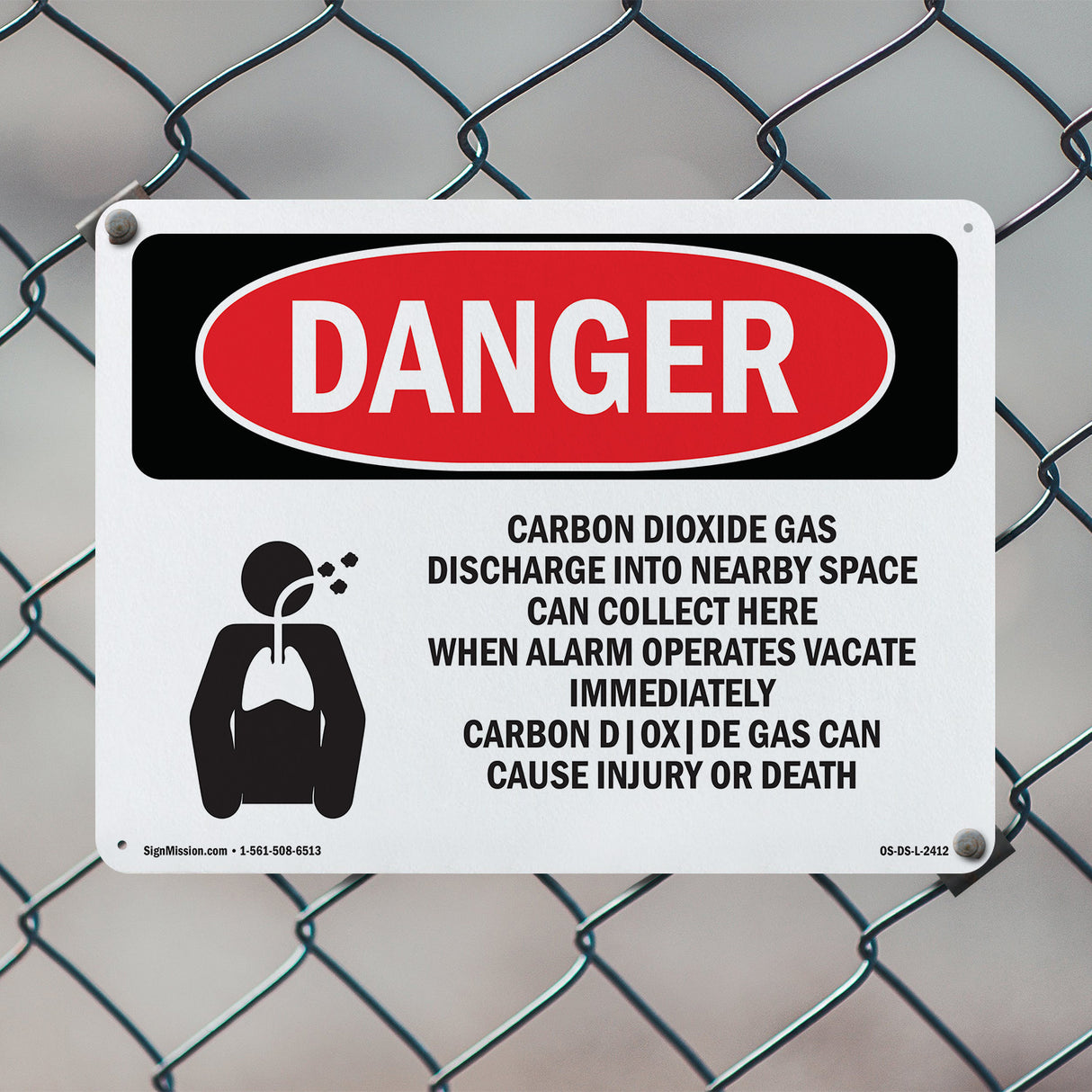 Carbon Dioxide Gas Discharge