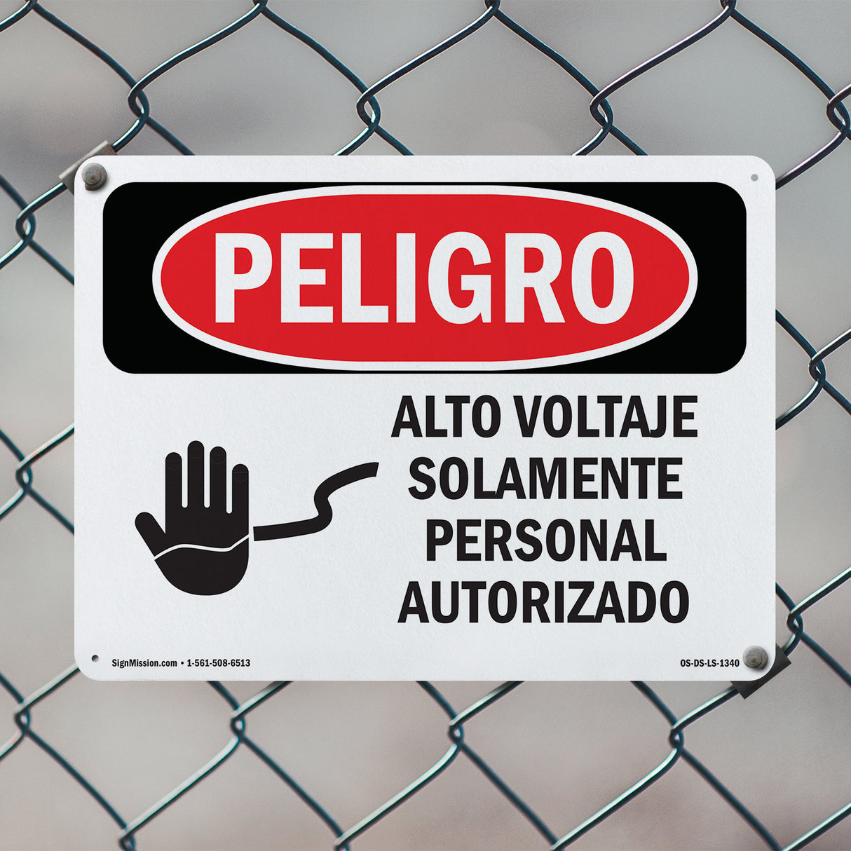 High Voltage Authorized Personnel Only