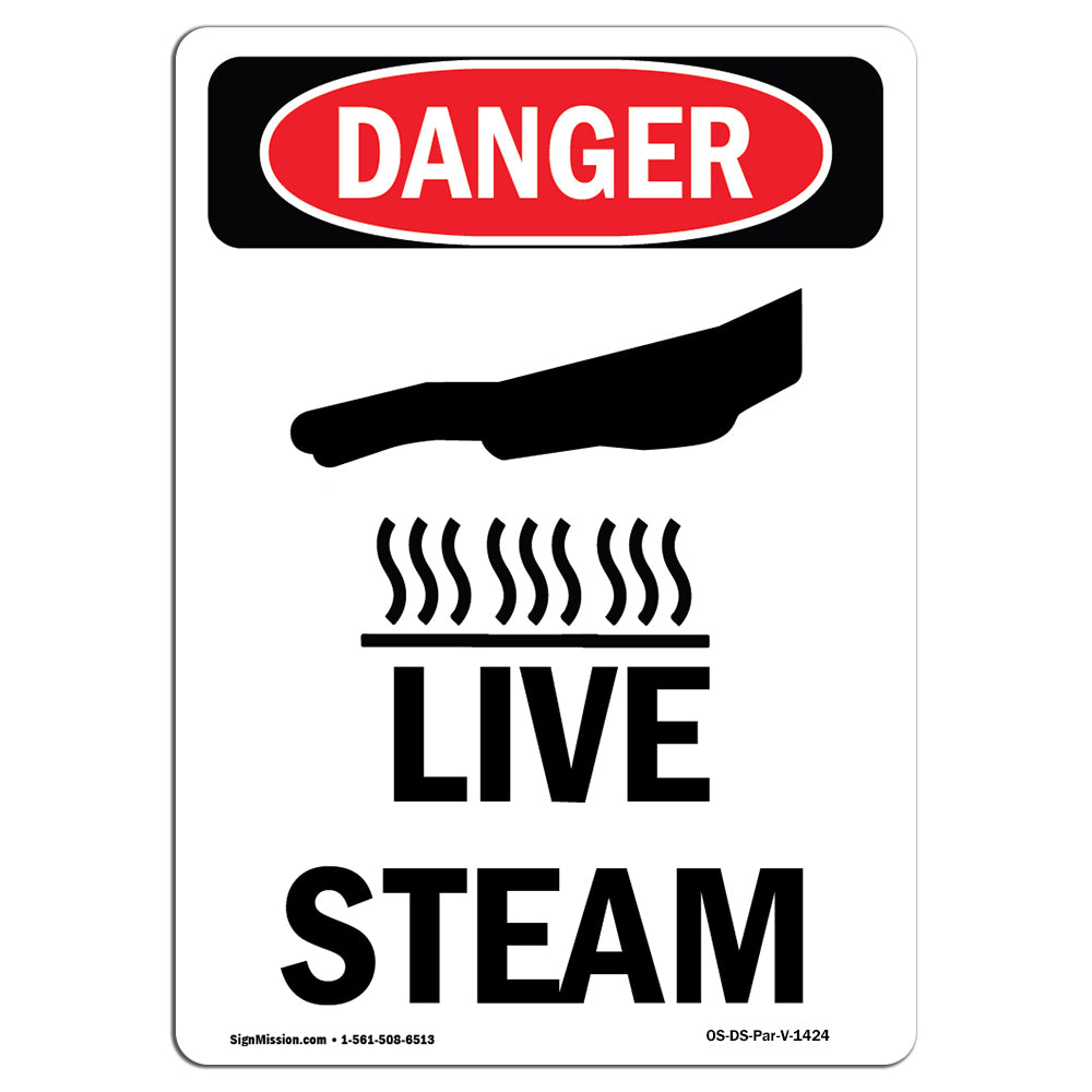 Live Steam