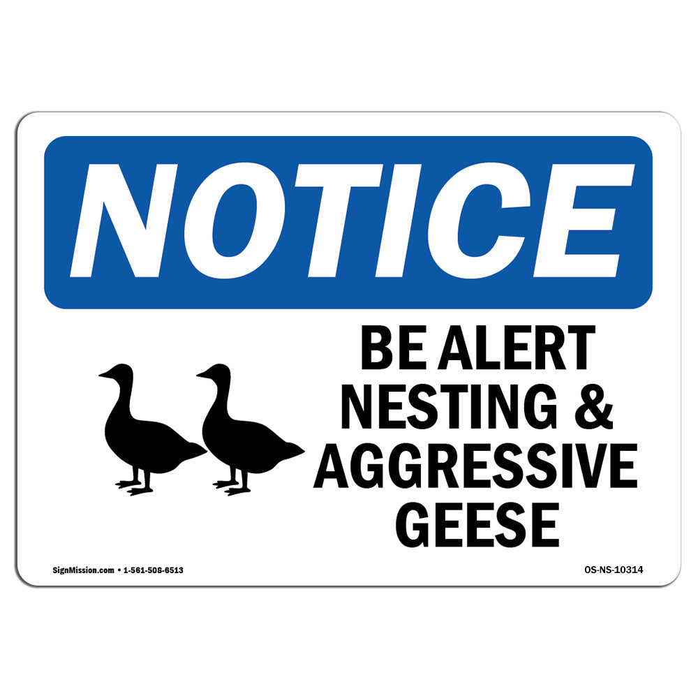 Be Alert Nesting And Aggressive Geese
