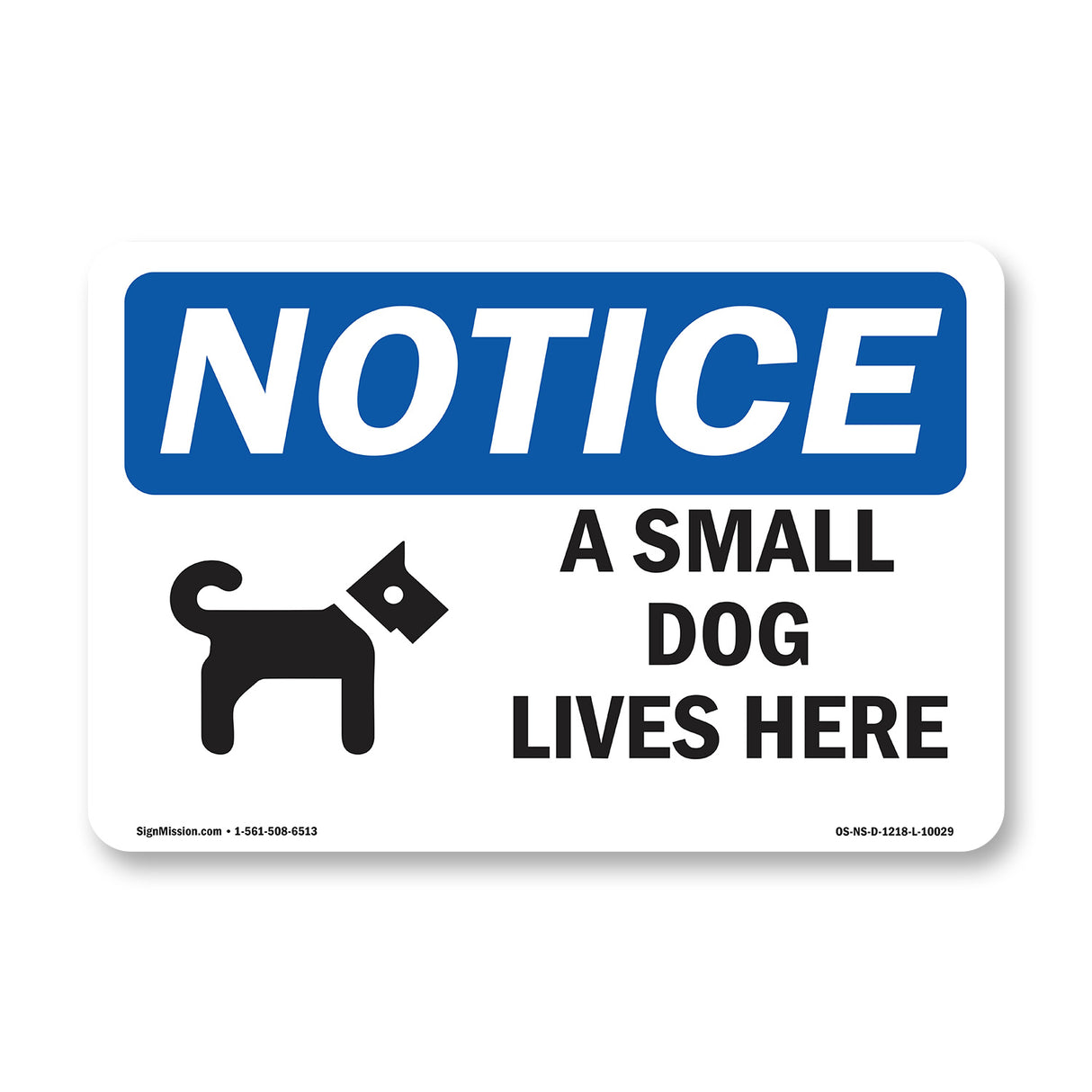 A Small Dog Lives Here