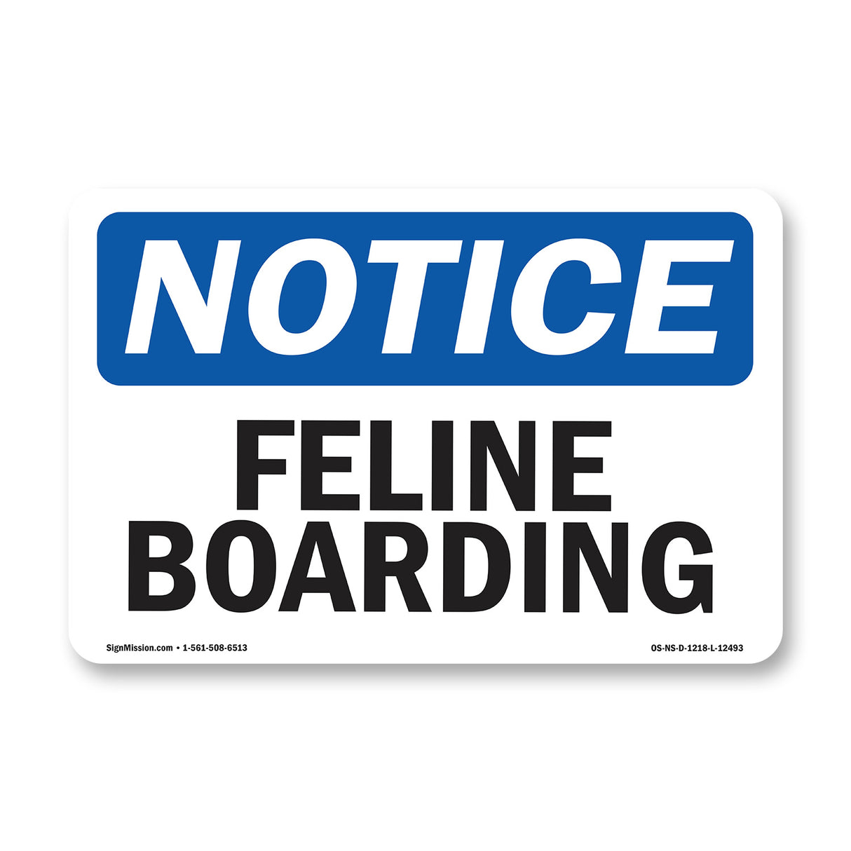 Feline Boarding