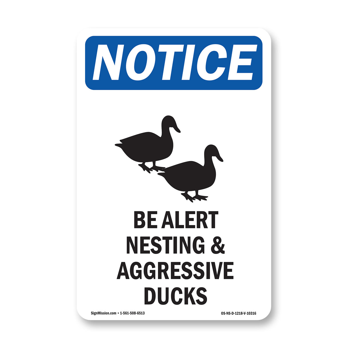 Be Alert Nesting And Aggressive Ducks