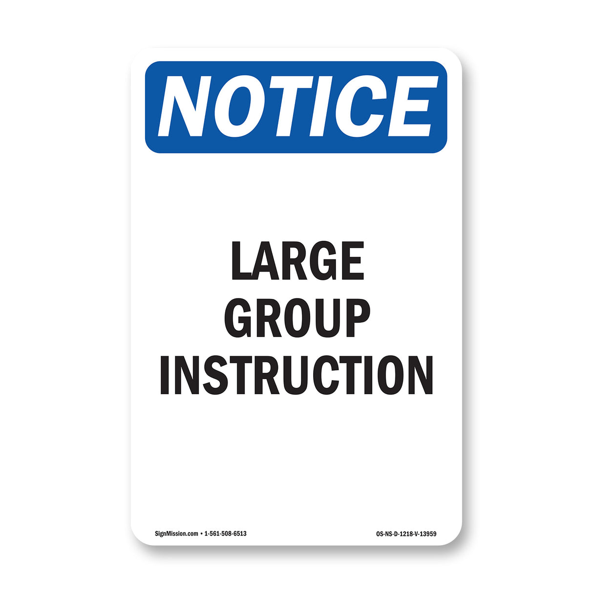 Large Group Instruction
