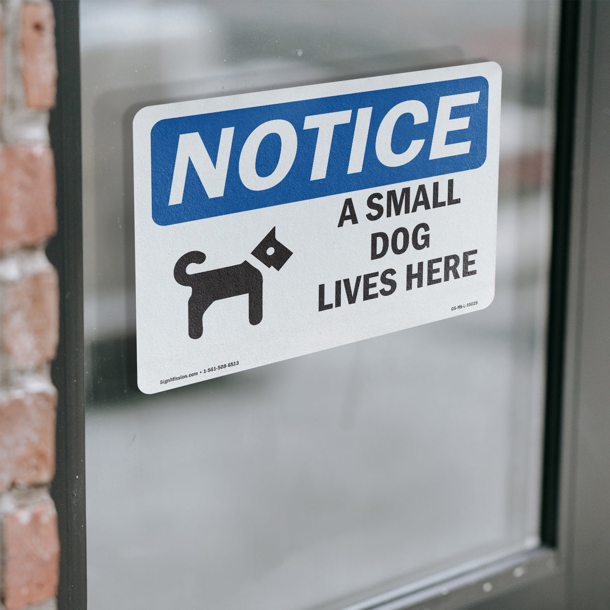 A Small Dog Lives Here